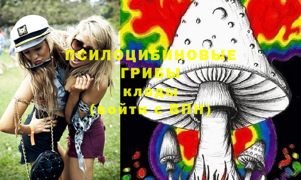 mix Горняк