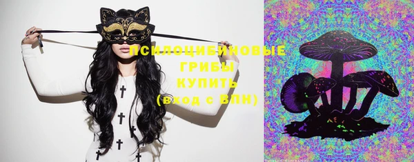 круглые Белокуриха
