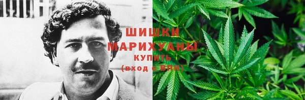 прущие крисы Беломорск
